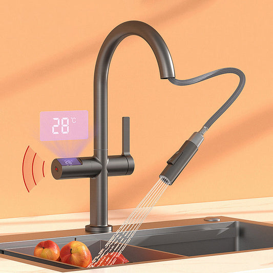 Tesrin F201 Adjustable Cold and Hot Water Kitchen Faucet