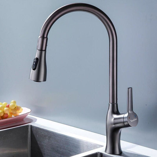 Tesrin F001 Classic Sink Pull-Out Faucet