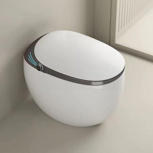 Tesrin ST-031 Smart Toilet