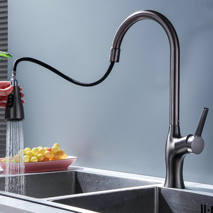 Tesrin F001 Classic Sink Pull-Out Faucet