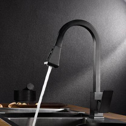 Tesrin F003 Cleaning Type Kitchen Faucet with Multi-layer Filter Bubbler