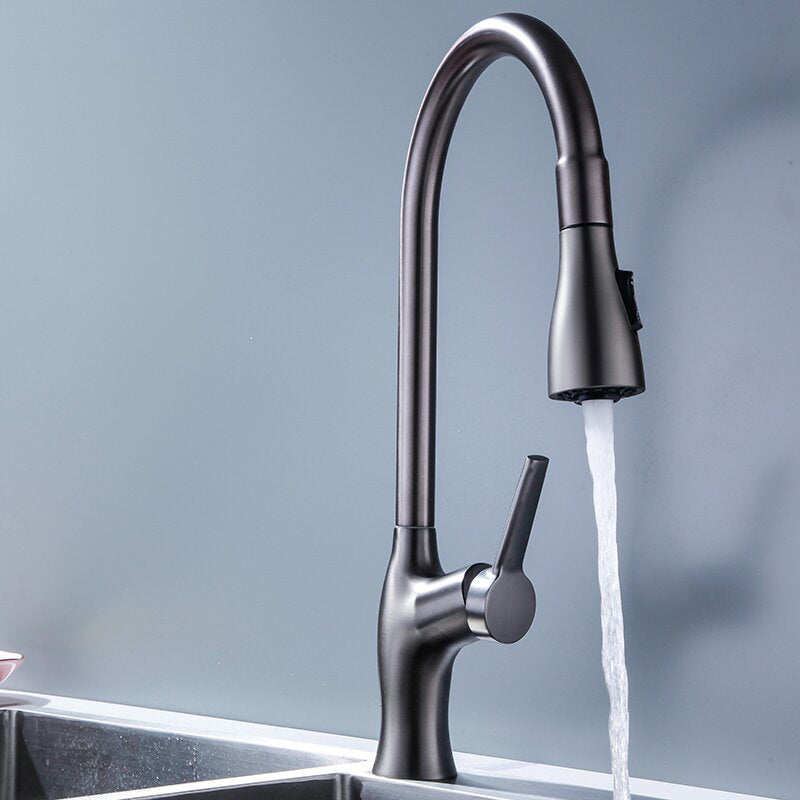 Tesrin F001 Classic Sink Pull-Out Faucet