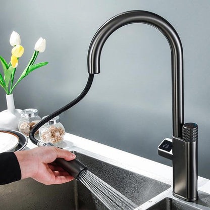Tesrin F202 Water-saving and Pull-out Kitchen Faucet
