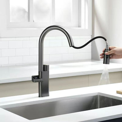 Tesrin F202 Water-saving and Pull-out Kitchen Faucet