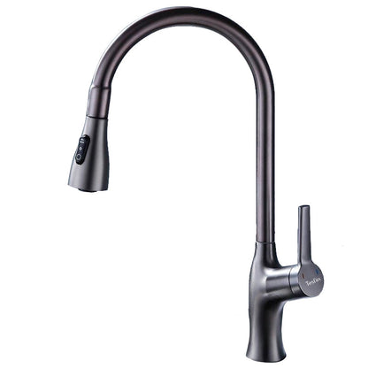 Tesrin F001 Classic Sink Pull-Out Faucet