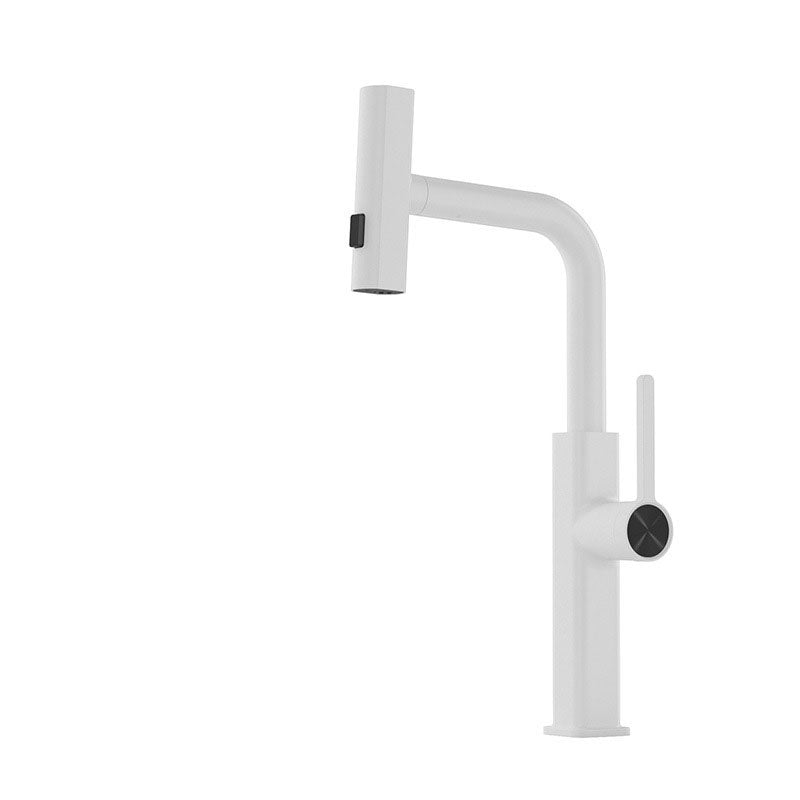 Tesrin F004 Kitchen Faucet with Waterfall Design