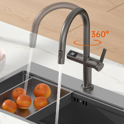 Tesrin F201 Adjustable Cold and Hot Water Kitchen Faucet